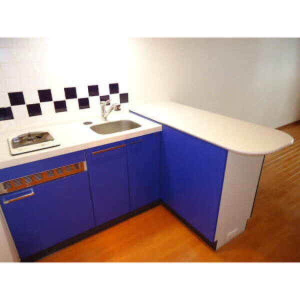 キッチン ﾌﾟﾚｻﾝｽ錦ｴﾎﾞﾘｭｰｼｮﾝ(306)