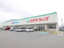 スギドラッグ　牛田東店(ドラッグストア)まで833m パラッツォ牛田