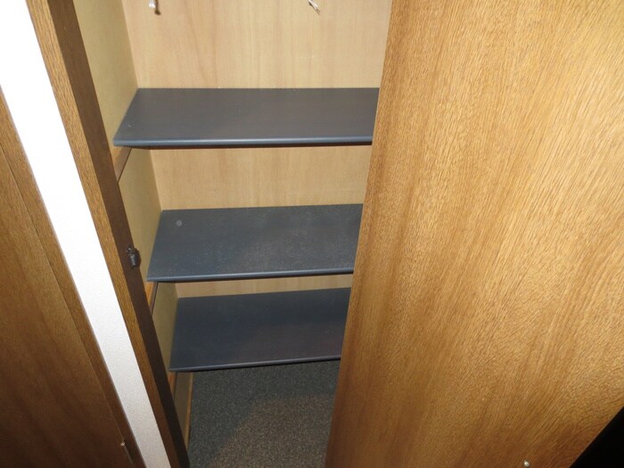 靴箱 アヴァンセドミ－ル