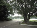 小幡緑地(公園)まで437m ム－ニ－高島
