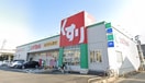 スギ薬局正保店(ドラッグストア)まで705m ヨイマンション