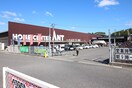 ホームセンターアント藤岡店(電気量販店/ホームセンター)まで1200m ウイング２