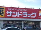 サンドラッグ岡崎大和店(ドラッグストア)まで376m リバーサイドヴィレッジ