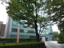 住友生命名古屋ビル内郵便局(郵便局)まで90m ﾌﾟﾚｻﾝｽ名古屋駅前(606)