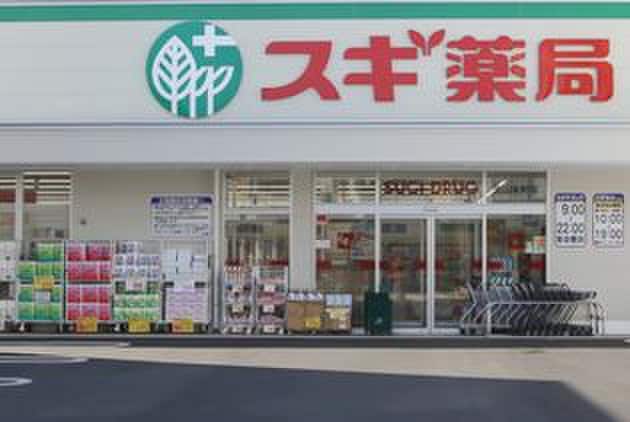 スギ薬局(ドラッグストア)まで250m カイヤ
