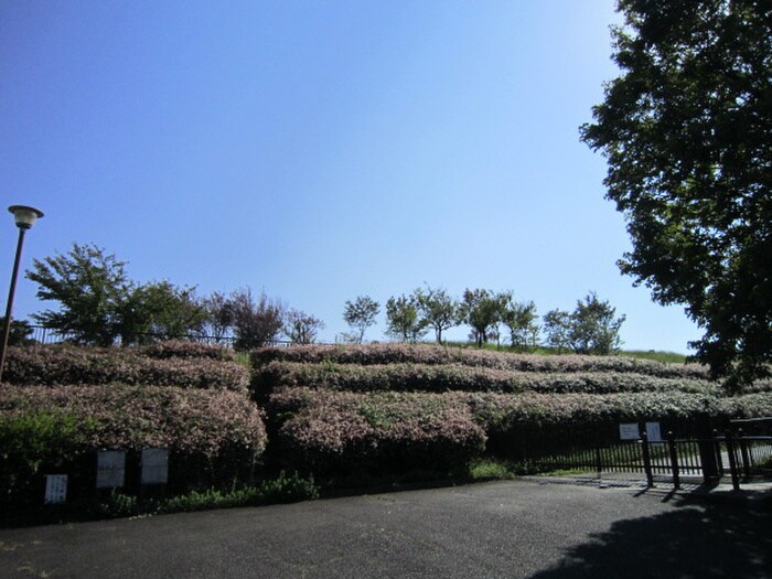 滝ノ水公園(公園)まで1250m セントラル滝ノ水