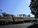 滝ノ水公園(公園)まで1250m セントラル滝ノ水