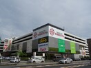 ヨシヅヤ名古屋名西店(スーパー)まで1400m サニーシャトー