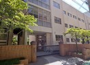 名古屋市立葵小学校(小学校)まで673m ハイム福島