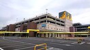 アピタ 岡崎北店(ショッピングセンター/アウトレットモール)まで550m マーサ　ヴィラ