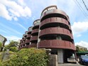 完成写真