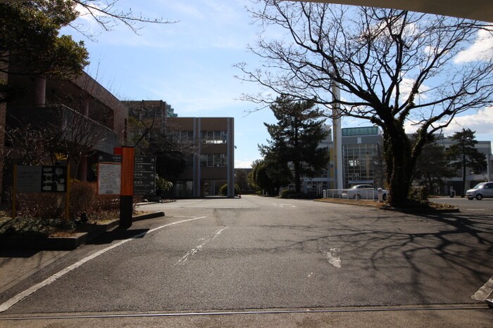 名古屋市立大学(大学/短大/専門学校)まで885m 上野ハイツ