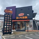 コッペ田島名古屋矢田店(その他飲食（ファミレスなど）)まで562m 宝大幸ハイツ（207）