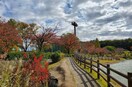 新海池公園(公園)まで544m パークサイド作の山