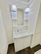 洗面 ﾗｲｵﾝｽﾞﾏﾝｼｮﾝ千代田橋(501)