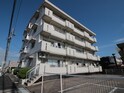 完成写真