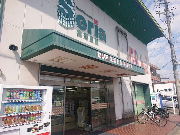 セリア(100均)まで180m 福田マンション