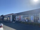 ピアゴ大治店(スーパー)まで1100m キャッツＡ