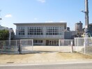 豊田大和幼稚園(幼稚園/保育園)まで250m タプロ－コ－ト