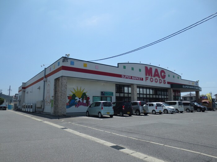 マグフーズ中島店(スーパー)まで1670m アンジュ岡崎南