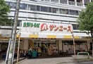 サンエース記念橋店(スーパー)まで800m ｴｽﾃﾑｺｰﾄ名古屋鶴舞Ⅱﾚｱｰｳﾞ