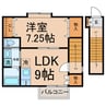 グラシア光音寺 1LDKの間取り