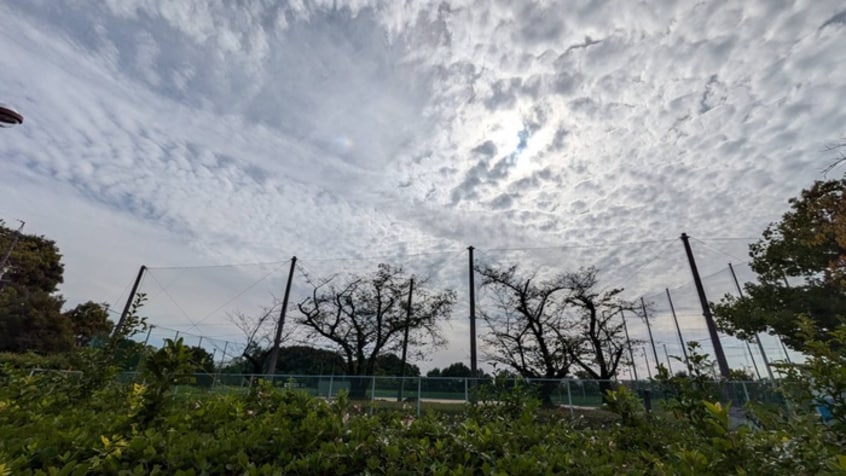 毘森公園(公園)まで600m コ－ポフジヤ