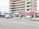 コインランドリーラメール大畑店(ドラッグストア)まで248m リトルアイランド