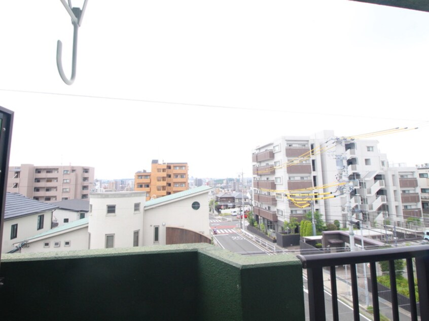 室内からの展望 ダーハムグリーン