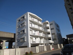 ホワイト　アンジェ