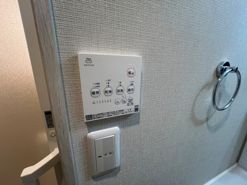 内観写真 グリーンブーメラン