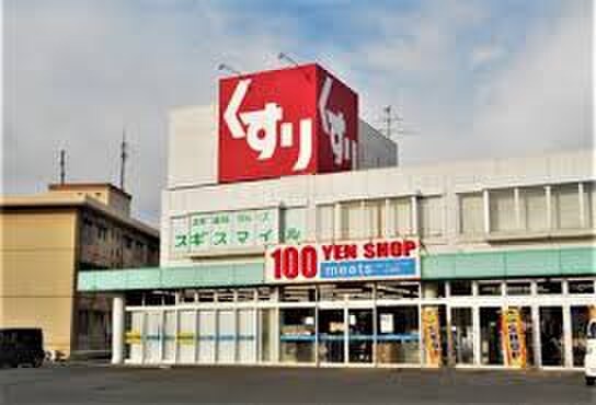 スギ薬局(ドラッグストア)まで557m チェリーハイム　Ｄ