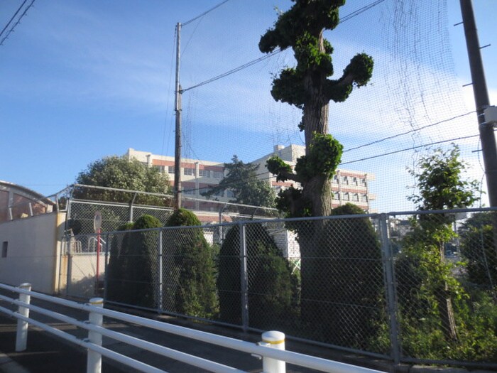 陽明小学校(小学校)まで1180m ＨＩＢＡＲＩ　ＨＩＬＬＳ