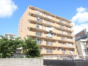 スペリア中山（503）