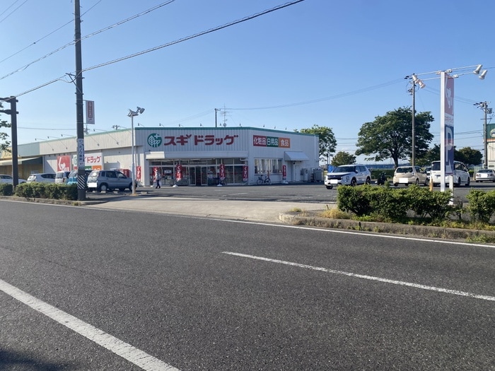 スギドラッグ(ドラッグストア)まで439m ﾗｲｵﾝｽﾞﾌﾟﾗｻﾞ三河安城（1305）