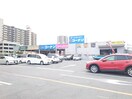 コーナン(電気量販店/ホームセンター)まで1100m SK　BUILDING-5