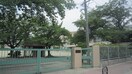 名古屋市立千種小学校(小学校)まで340m ハイライフイワタ