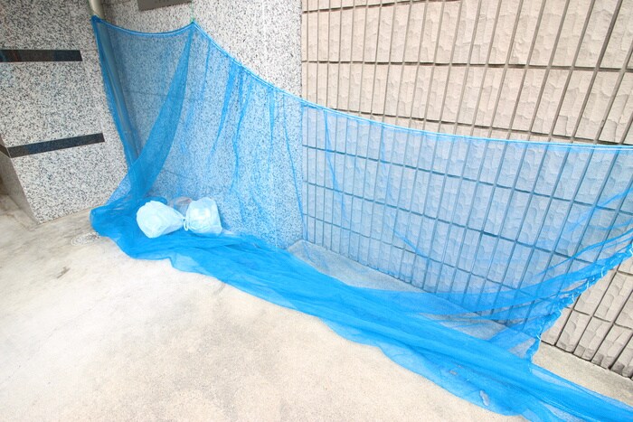 その他 パラシオ