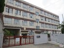 名古屋市立星ヶ丘小学校(小学校)まで260m カヤノビル