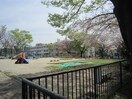 公園(公園)まで390m つつみ館