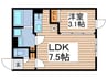 quador神宮西 1LDKの間取り
