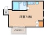 ヒルサイドホール 1Rの間取り