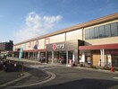 ピアゴ植田店(スーパー)まで1120m 第２ヒルハイツ浅井