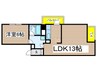 ドムス栄 1LDKの間取り