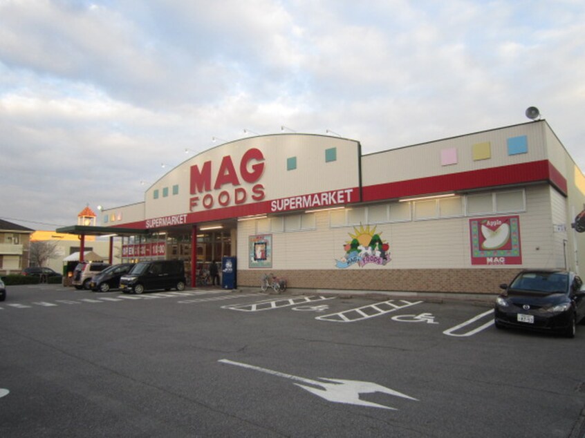 マグフーズ六ッ美店(スーパー)まで710m Ｔｉａｒａ　Ｓａｋｕｒａｉ