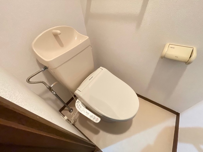 トイレ ダルウィニー