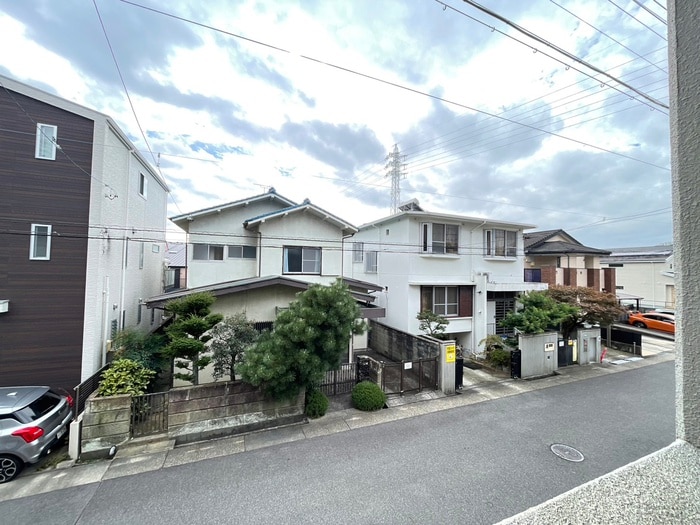 室内からの展望 ダルウィニー