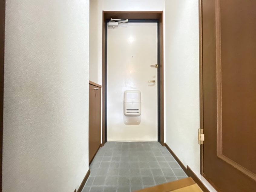 玄関 ダルウィニー