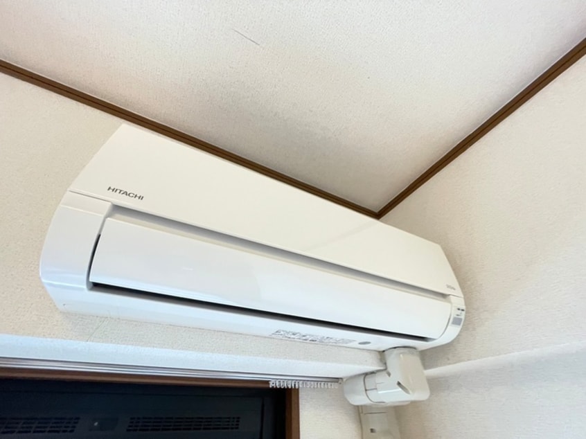 内観写真 ダルウィニー