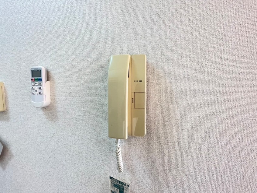 内観写真 ダルウィニー